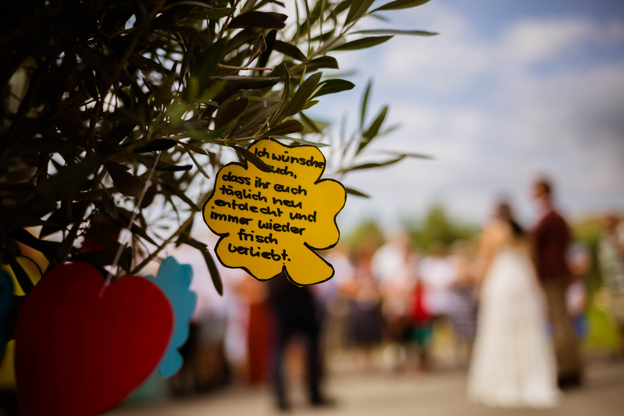 Export x3 5D4 9023 Hochzeit 2019 Jenny & Daniel